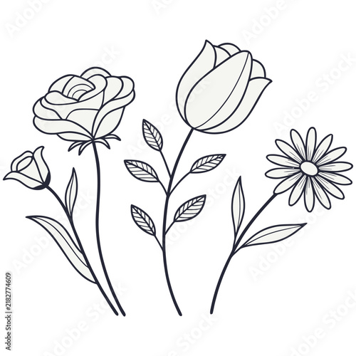 Hand drawn floral elements collection with various garden flowers on white background