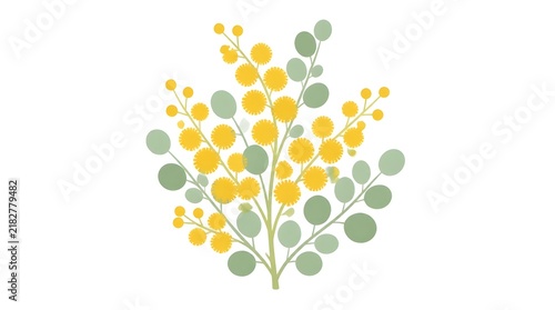Flat vector illustration of a golden wattle blossom sprig with bright yellow fluffy flowers and green leaves on white background