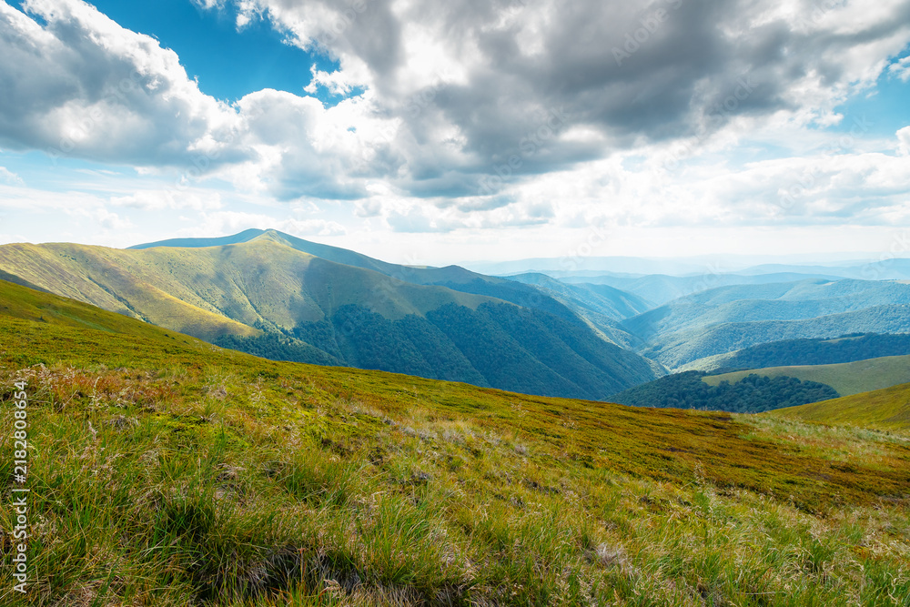 Obraz premium Carpathian mountain landscape in summer. scenic view of Transcarpathia region from Stiy summit. hiking trail through Borzhava range. grassy hill in dappled light