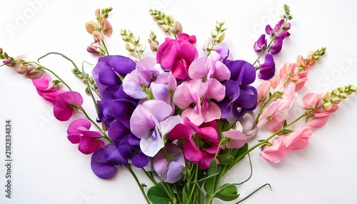 sweet pea flower bouquet isolated on white background with vibrant purple and pink blooms