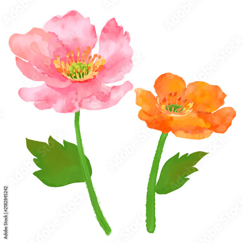 Watercolor pink and orange flowers with green leaves isolated botanical floral elements hand painted in a soft artistic style for wedding stationery greeting cards fabric patterns packaging invitation