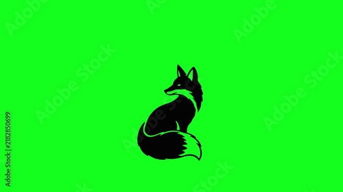 Fox Silhouette Motion Video Loop Isolated on Green Screen Chroma Key Background, Black Wild Fox Sitting Symbol, Red Fox Animal Graphic for Nature Documentaries and Wildlife Edits