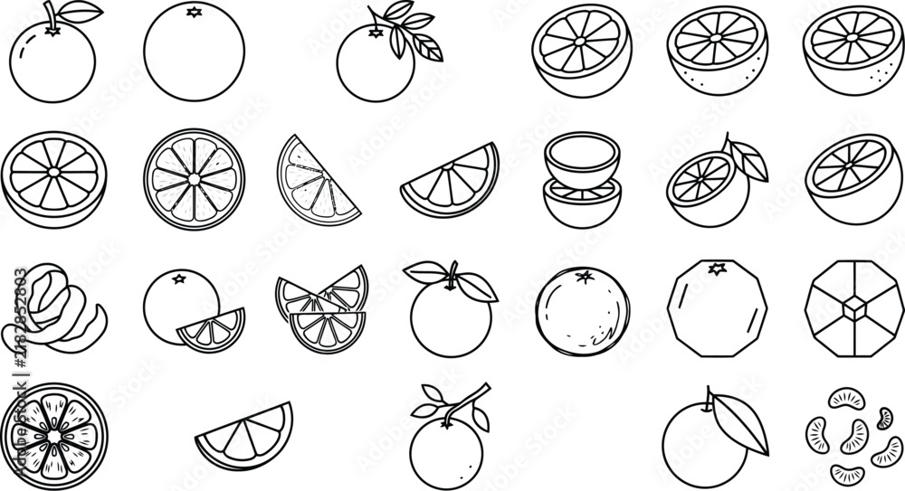 Obraz premium Set of citrus fruit