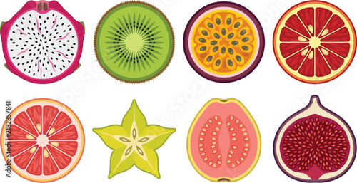 Tropical Exotic Fruit Slices Vector Illustration Set Featuring Dragonfruit Kiwi Passionfruit Grapefruit Starfruit Guava Fig
