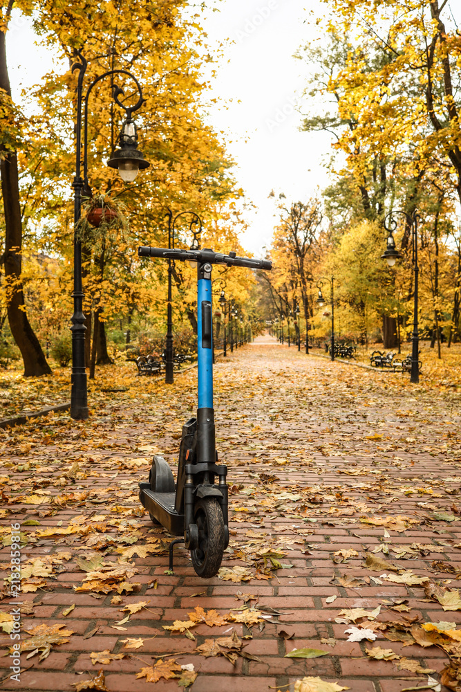 Obraz premium Electric scooter parked on a brick path covered in autumn leaves in a park
