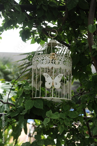 decoração borboleta no jardim com plantas 