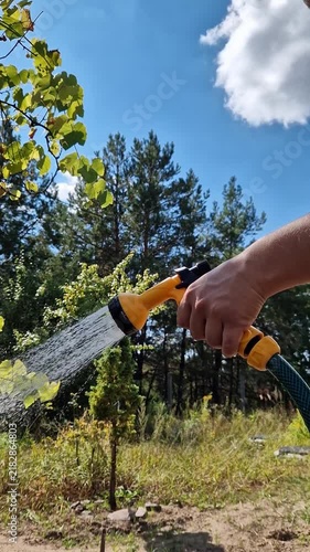 A man waters plants using a garden hose with a sprayer. The concept of caring for nature, housekeeping and ecological gardening. The process of watering dry soil and plants during the summer heat