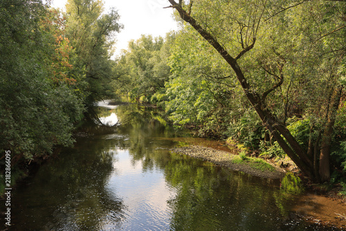 Sommer im Ruhrtal, die Ruhr in Arnsberg