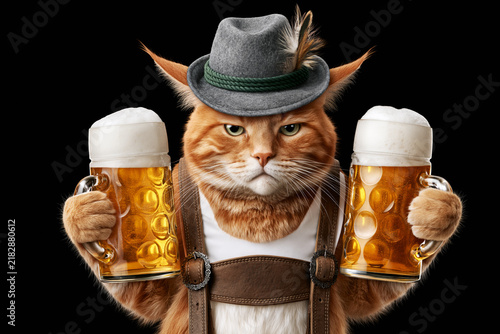 Serious ginger cat in Bavarian hat holding two beer mugs isolated on black background, Oktoberfest concept