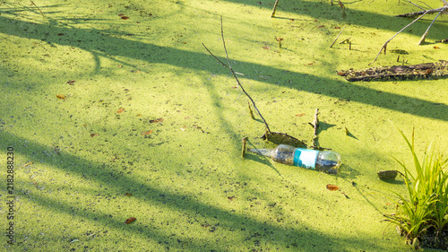 Fotografie Plastic Bottle Floating in Green Duckweed Covered Swamp Water