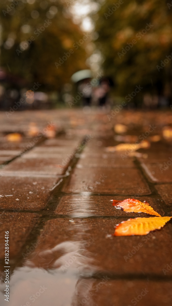 Obraz premium Autumn leaves on wet pavement with blurred figures holding umbrellas in the background