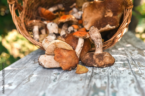 Fresh porcini mushrooms in wicker basket