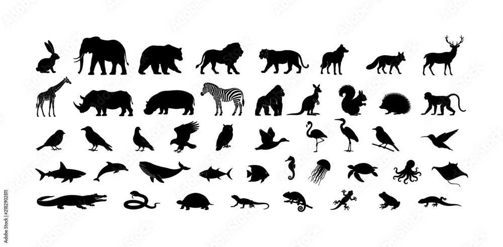 Fototapeta premium Collection of diverse animal silhouettes on a white background