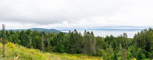 Quadro su tela Panoramic view of yellow goldenrod meadows sloping down to dense spruce-fir forests and the Bay of Fundy under a dramatic overcast sky in Fundy National Park, New Brunswick