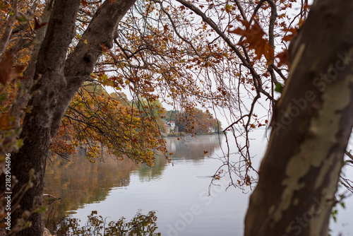 autumn in the park