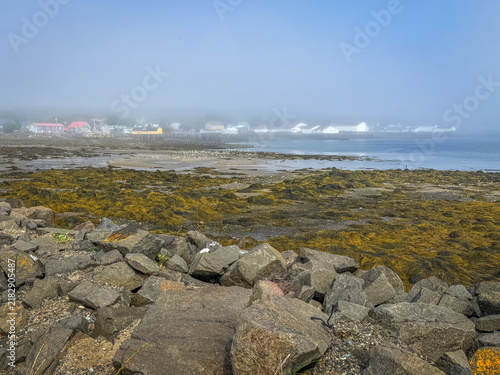 Fog hangs over the rocky coast of Brier Island, while houses along the shore and seaweed-covered flats exposed at low tide slowly fade into the haze in the distance