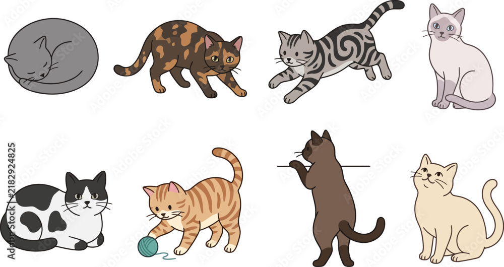 Fototapeta premium Collection of various colored domestic cats