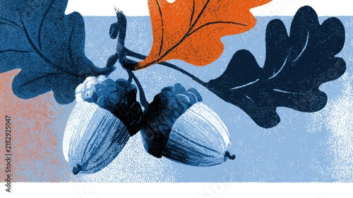 Illustration presents acorns and oak leaves on textured paper with notable grain showing autumn in a simple design.