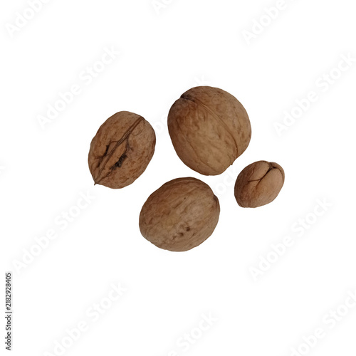 Four walnuts of different sizes isolated on a transparent  background.