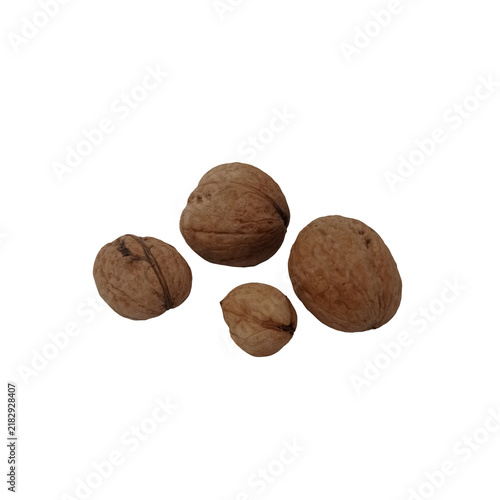 Four walnuts of different sizes isolated on a transparent background.