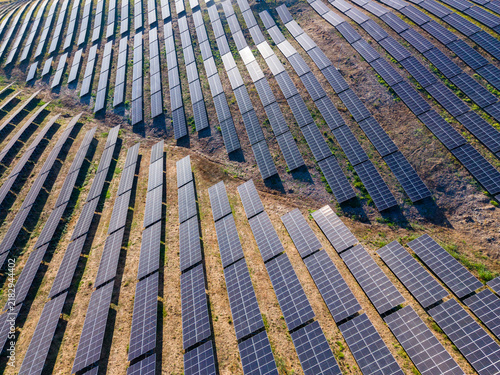 Принти на полотні Solar panels installed in a large field with rows of panels aligned in a pattern