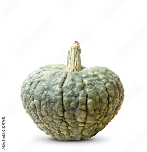 Single green pumpkin with textured skin isolated on white background. Studio lighting highlights natural shape and surface details. Ideal for autumn, harvest season, Halloween, Thanksgiving, organic