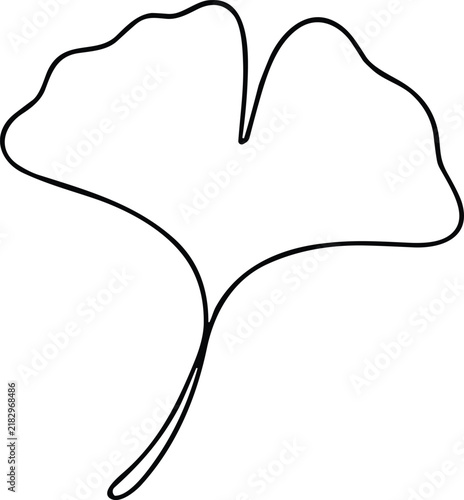 Ginkgo biloba leaf outline vector illustration for botanical research and wellness design.