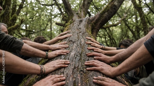Hands of Kindness A Circle of Unity Embracing a Mighty Tree in a Lush Forest, Symbolizing Growth and Connection to Nature