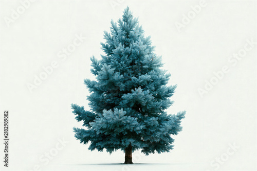 Blue Spruce Tree in White Frame, Soft Textured Needles, Strong Vertical Form, Ideal for Nature-Inspired Designs