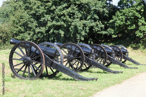 Tapety artystyczne Cannons at Fredericia Vold in Denmark