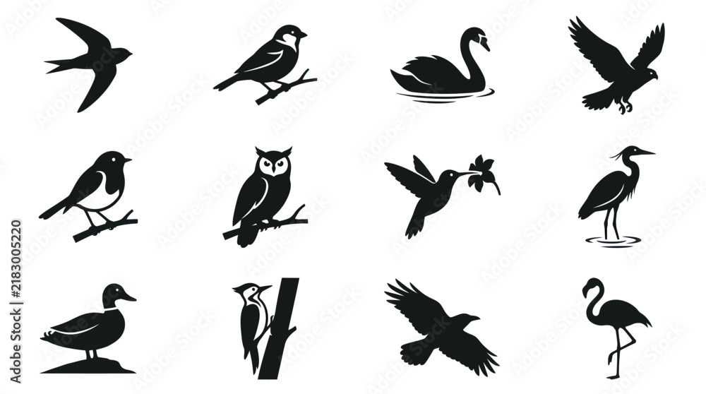 Fototapeta premium Diverse collection of bird silhouettes showcasing various species and poses.