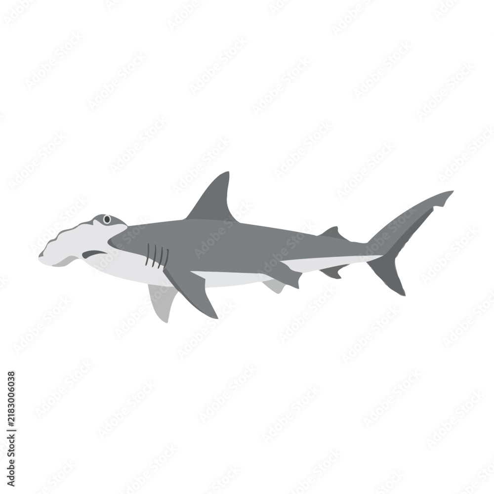 Fototapeta premium Hammerhead Shark Isolated on Transparent Background