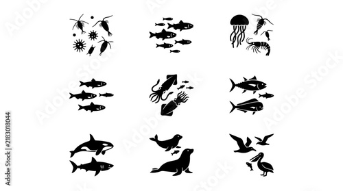 Variety of Sea Creatures Silhouettes Ocean.