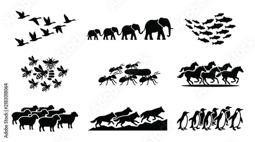 Various Animals in Groups Silhouettes.