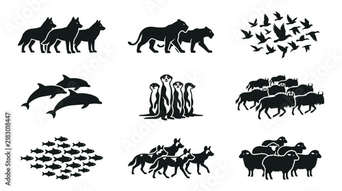 Various animals in groups together.