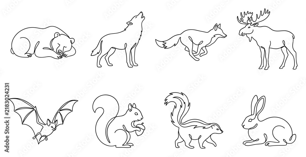 Fototapeta premium Collection of hand-drawn forest animals including a bear wolf fox moose bat squirrel skunk and rabbit.
