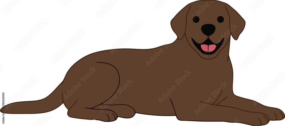 Fototapeta premium Adobe Illustrator Artwork