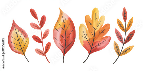 Watercolor Autumn Leaves Clip Art Collection Fall Foliage Set