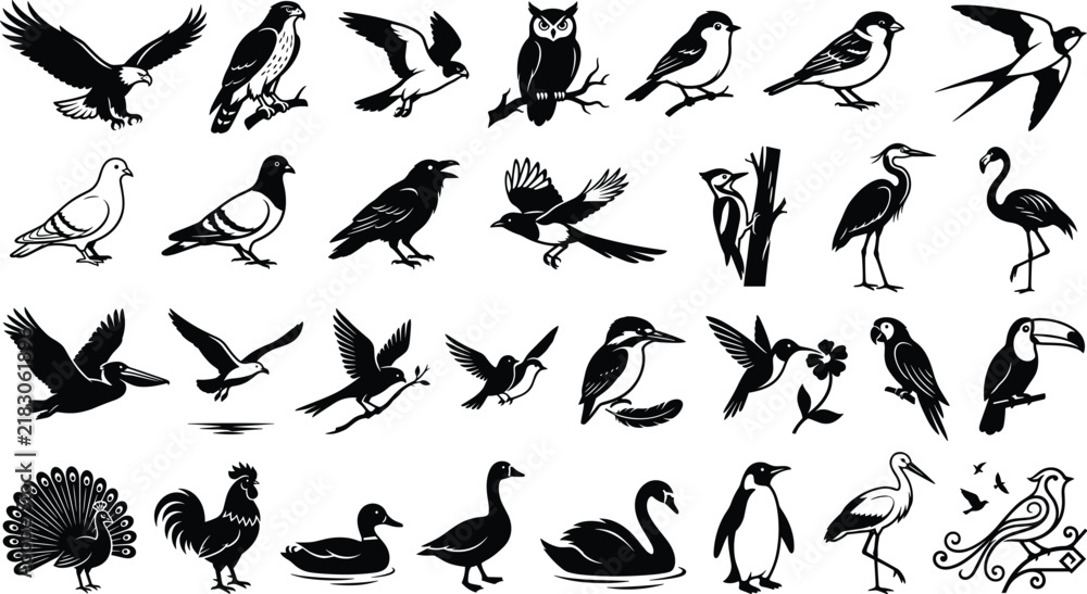 Obraz premium Black bird silhouette collection featuring eagles, owls, pigeons, crows, swallows, parrots, flamingos, penguins, ducks, swans, and tropical birdsBlack bird silhouette collection 
