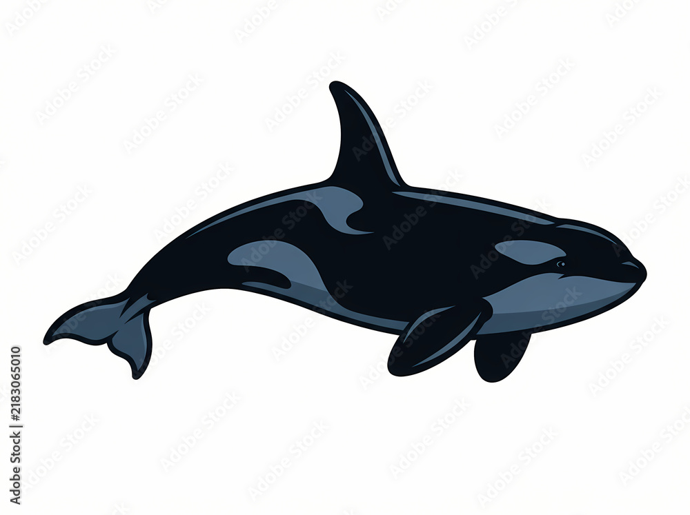 Fototapeta premium A detailed illustration of a majestic orca whale swimming gracefully.