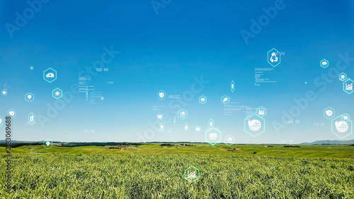 Nature, technology, network, forest, blue sky, future, SDGs, sustainability, sustainable, GX, environment, fresh greenery, earth, green, ecology, ecosystem, global environment, environmental protectio