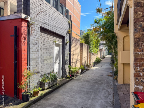 Fotografie Sunlit urban laneway with colorful brick walls, potted plants and tropical green