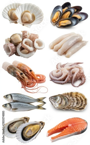 Fresh seafood collection including scallops, mussels, squid rings, shrimp, octopus, fish, oysters, and salmon steak isolated on white background