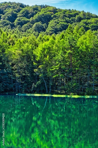 長野県の御射鹿池