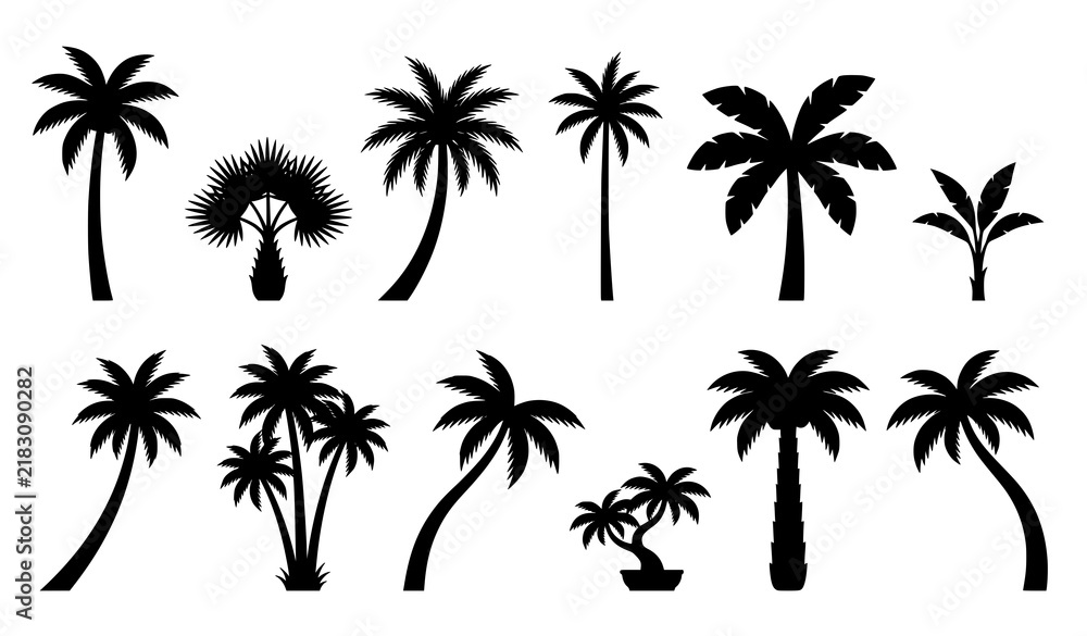 Naklejka premium Tropical palm tree silhouette collection with diverse coconut and exotic palm shapes isolated on white