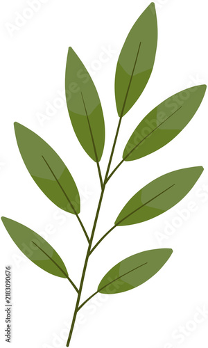 Green Leafy Branch with Simple Botanical Foliage, Flat Nature Illustration PNG