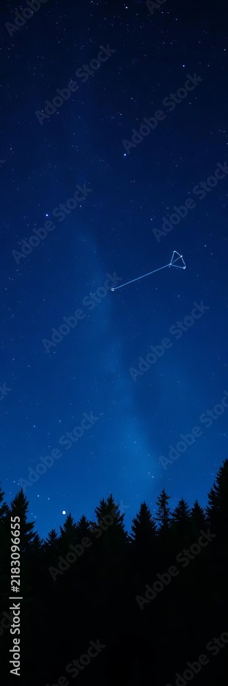 Fototapeta premium Night sky over conifer forest, Virgo constellation prominent, forest, evergreen