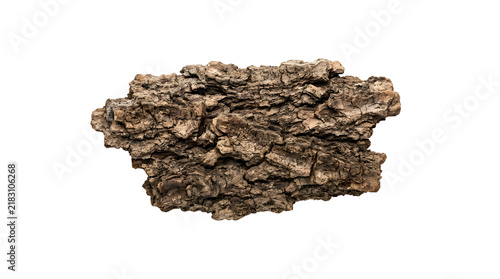 Rough textured tree bark fragment isolated on transparent background