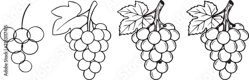 How to draw grapes step by step illustration Keywords: grapes, drawing, illustration, step by