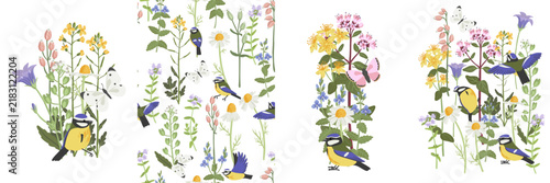 spring flowers and bird, vector drawing wild plants and blue tit at white background, set of floral composition, bellflower, germander speedwell, thyme and daisy, hand drawn botanical illustration